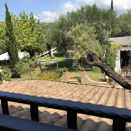 Villamirella * Centola